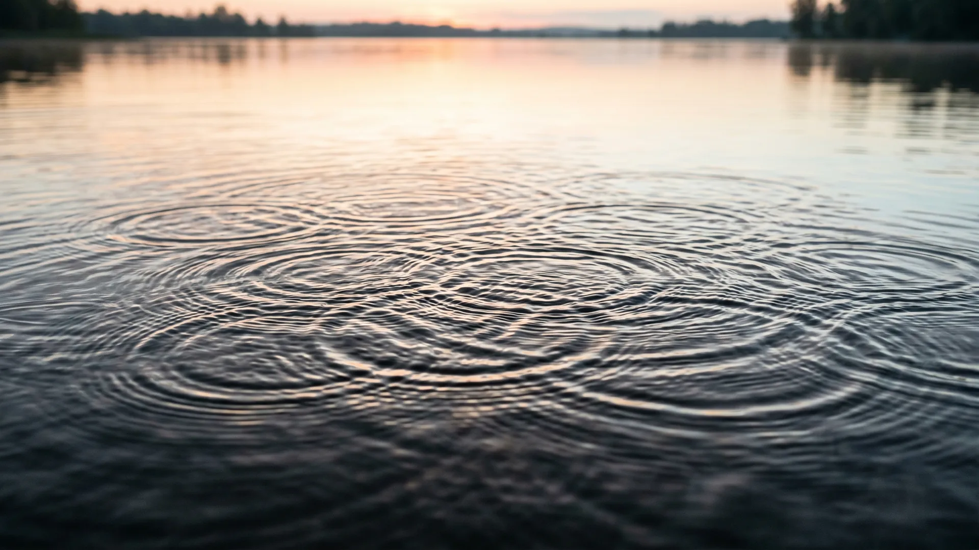 Overlapping concentric ripples spreading continuously across a calm lake at dawn in soft silver light.
